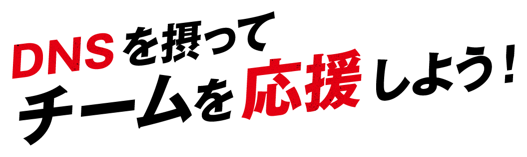 DNSを摂ってチームを応援しよう！